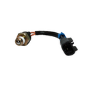 Backup Light Switch, 2 Blade Terminal | 21-502P Pollak