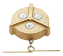 Non Locking Brass Female Threads Fuel Cap | Tectran 9119