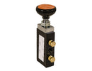 4-Way 3-Position Manual Air Valve With Five 1/4 Inch NPT Ports | Buyers Products BAV020