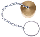 Dust Cap (G951 Series) | G95190-0016 Gates