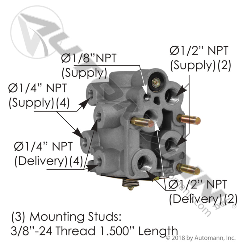 E7 Type Foot Valve | 170.286773 Automann