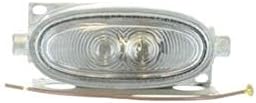 Incandescent Dome Light | 200023 Betts Lighting
