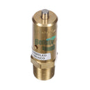 ST-3 Safety Valve | 284143N