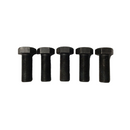 Hex Head Locking Screw | GSC-6060 PAI Industries