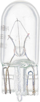 Multi-Purpose Light Bulb