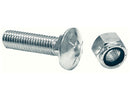 5/8 X 2" Carriage Bolt & Locknut (Set of 10) | Buyers Products 1301064