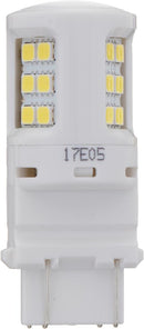 Multi-Purpose Light Bulb