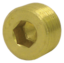 3/4" Countersunk Hex Head Plug (Pack of 5) | Tectran 118E