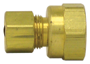 1/8" Tube to 1/8" Pipe Female Compression Connector (Pack of 10) | 66-2A Tectran