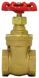Female to Female Pipe Gate Valve | 2006-12 Tectran