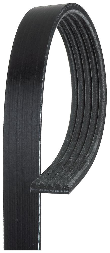 31.65" Micro-V Serpentine Drive Belt, 5 Rib | Gates K050316