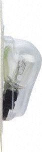 Tail Light Bulb