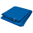 Blue Standard Duty Tarp 10' x 12' | W6006 Performance Tool